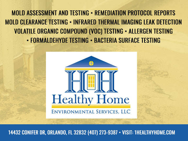 Mold Testing & Mold Inspections