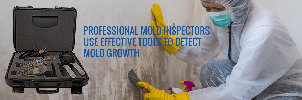 Professional Mold Inspectors Use Effective Tools to Detect Mold Growth