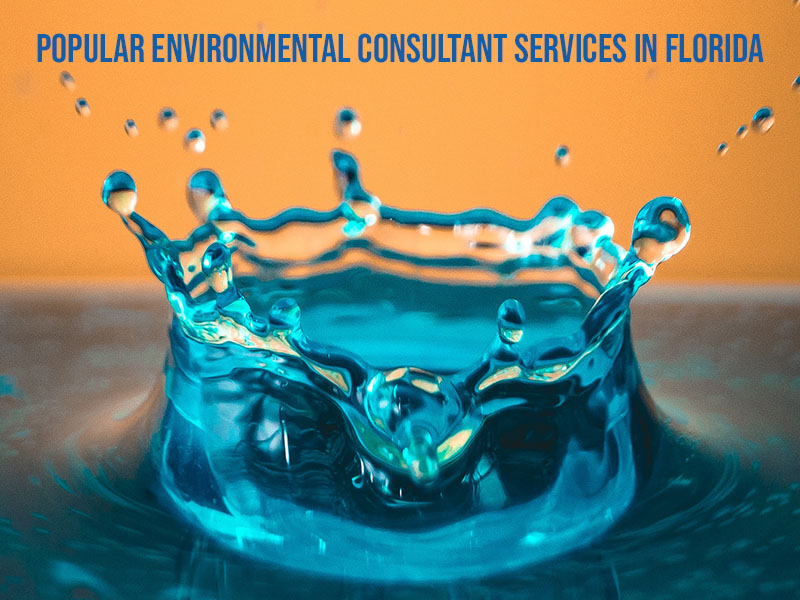 environmental consultant services