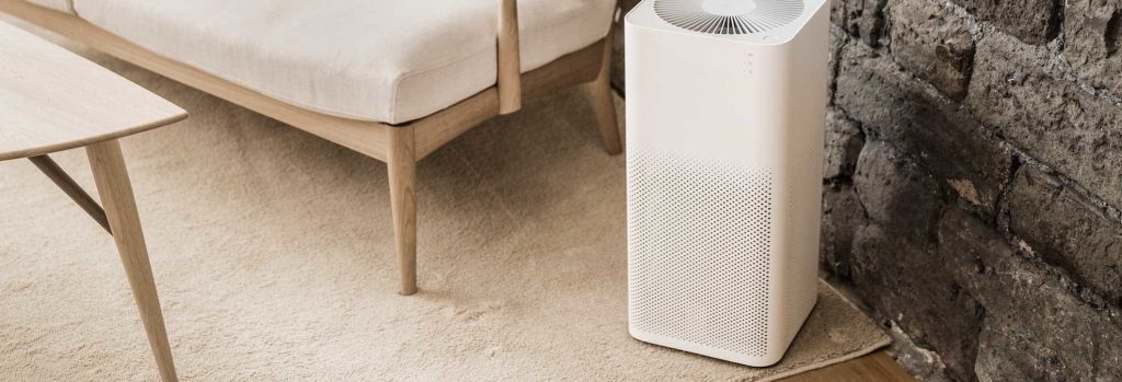 Do Air Purifiers Help with Mold in Your Home