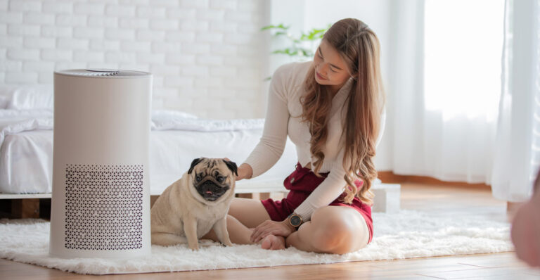 Do Air Purifiers Help with Mold in Your Home?