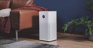 How do air purifiers help with mold?