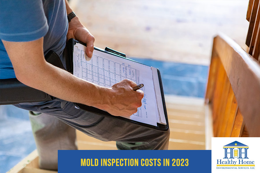 How Much Does Mold Inspection Cost In 2023?