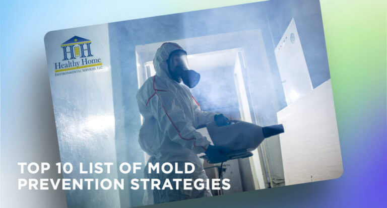 Top 10 List of Mold Prevention Strategies in 2023