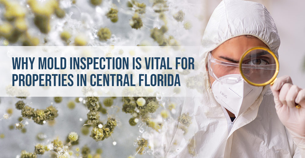 Why Mold Inspection is Vital for Properties in Central Florida