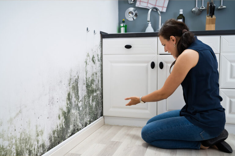 How to Remove Mold from Painted Walls: A Step-by-Step Guide