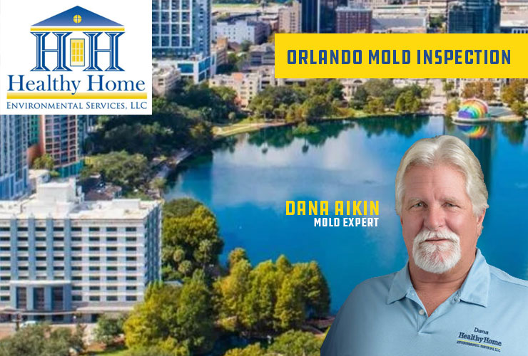 Orlando Mold Inspection Services by healthy Home Environmental Services